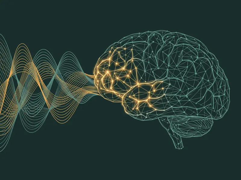 Wellenvisualisierung in Teal und Gold, die in ein Gehirn mit leuchtendem neuronalem Netzwerk übergeht, Symbolbild für Binaural Beats und Gehirnwellen